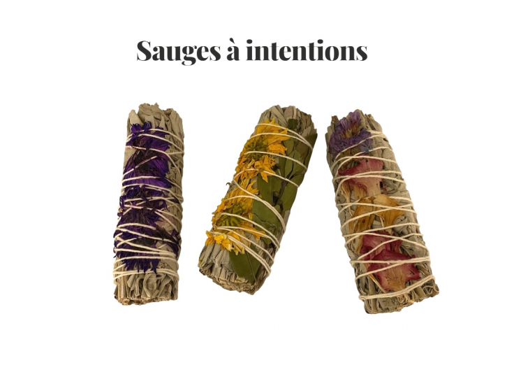 Sauges à intentions