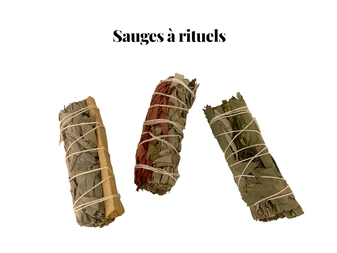 Sauges à rituels