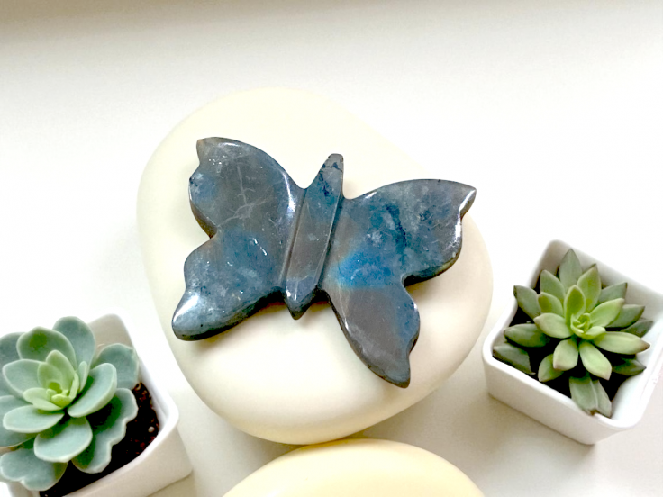 Papillon Labradorite