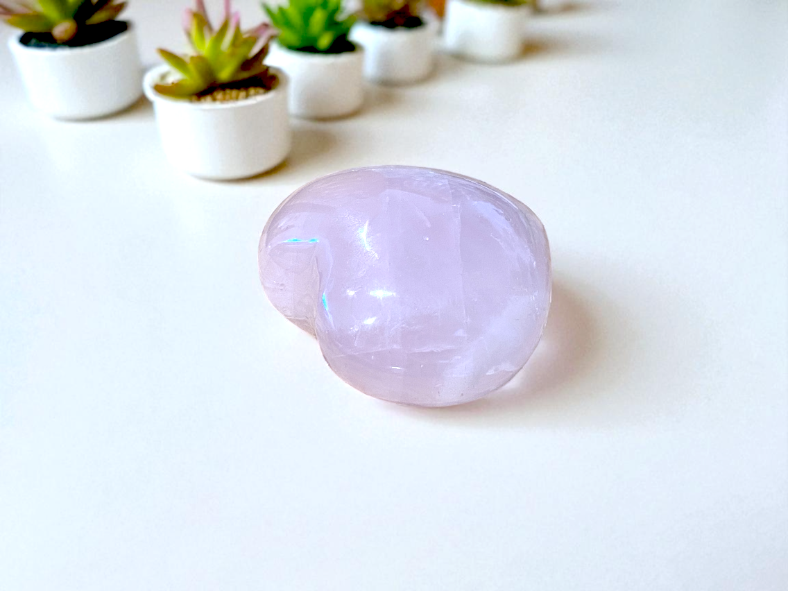 Photoroom_20251014_165438